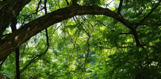 Czy są nakrętki z lewym gwintem?