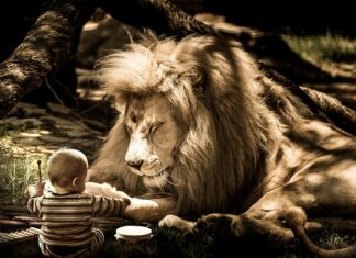 Jak zdjąć zablokowany bęben hamulcowy?