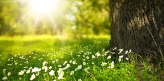 Jakie światło nie męczy oczu?