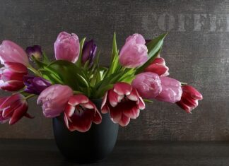 Co dają sprężyny obniżające?