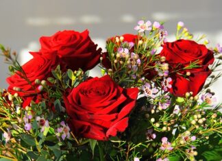 Jaki jest najdroższy samochód w Polsce? Jaki jest najdroższy samochód w Polsce?