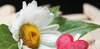 Jak Rozruszać zapieczony zacisk hamulcowy?