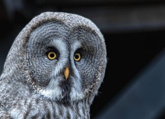 Jak zwiększyć siłę hamowania w samochodzie?