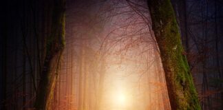 Czy w motocykl musi być oświetlenie tablicy?