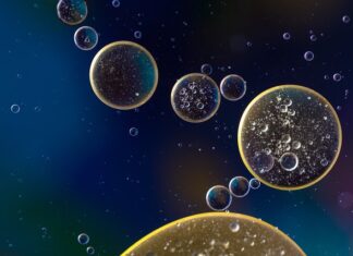 Od czego skrzypi zawieszenie?