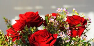 Ile kosztuje najdroższy samochód na świecie?