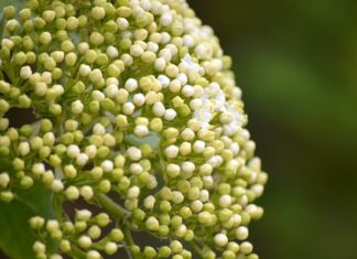 Za co odpowiada tuleja stabilizatora?