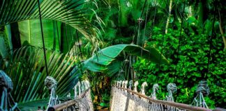 Co to jest Kurs alfa?