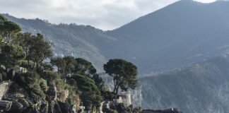 Ile kosztuje hydro łapa?