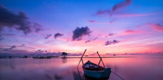 Jaki kolor światła do warsztatu?