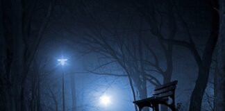 Jaka jest polska marka samochodu?