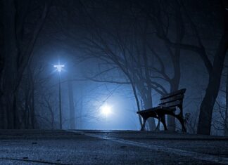 Jaka jest polska marka samochodu? Jaka jest polska marka samochodu?