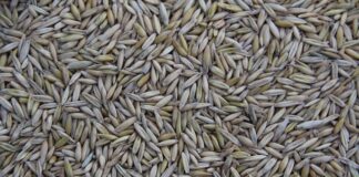 Kto produkuje samochody Hummer?