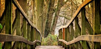 Co kupić dla 4 letniej dziewczynki?