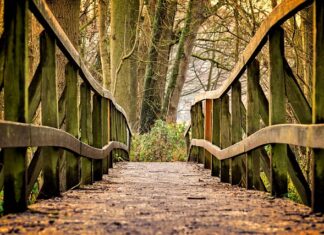 Co kupić dla 4 letniej dziewczynki?