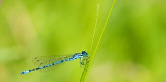 Ile cali dla 3 latka?