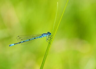 Ile cali dla 3 latka?