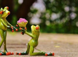 Ile kosztuje OC za quada 250?