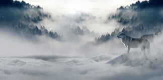 Jakie prześcieradło na zimę?