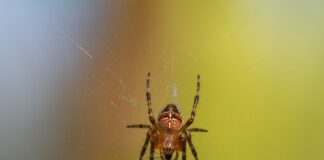 Ile kosztuje kątownik 30x30?