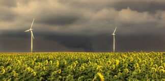 W jakiej kolejności układać książki?