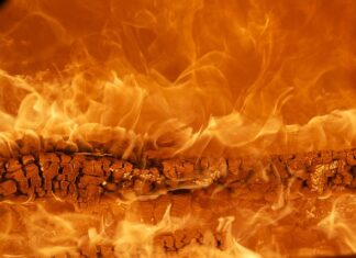 Jaka jest najlepsza marka quada?