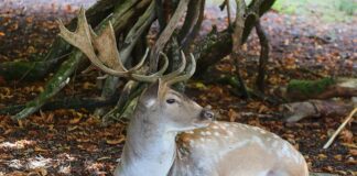 Dlaczego 2 miesięczne dziecko nie sika w nocy?