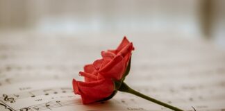 Co ma 3.5 tony na haku?