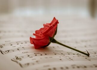 Co ma 3.5 tony na haku?