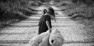 Co to są misie Szumisie?