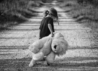 Co to są misie Szumisie?