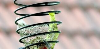 Dlaczego matka nie ma pokarmu?