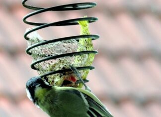 Dlaczego matka nie ma pokarmu?