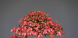 Jak przechowywać gryzaki?