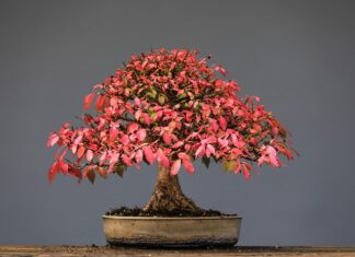 Jak przechowywać gryzaki?