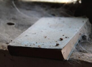 Jak nauczyć 2 latka układać puzzle?