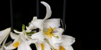 Jak układać rzeczy na regale?