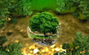 Jak złapać równowagę na rowerze?