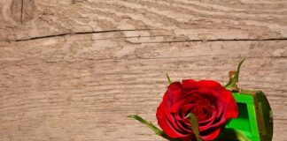 Jak zrobić szkatułkę z pudełka?