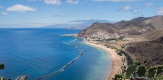 Jaki worek Sako wybrać?