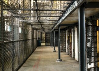 Jaki WOOM dla 3-latka?