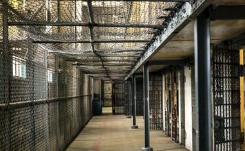 Jaki WOOM dla 3-latka?