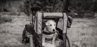 Czy przyczepka samochodowa musi mieć tabliczkę znamionowa?