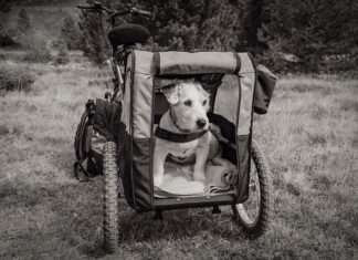 Ile wytrzyma Przyczepka lekka?