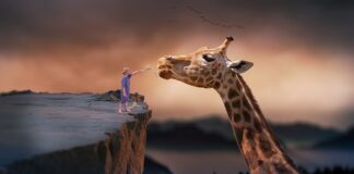 Czego nie wolno jeść w czasie karmienia piersią?