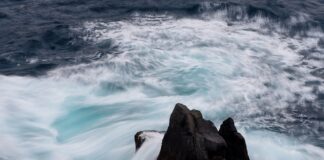 W jakim formacie najlepiej wywołać zdjęcia?