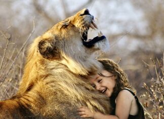 W czym przechowywać gry planszowe?