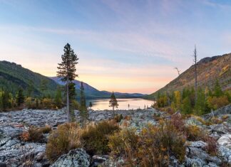 Czy szumy są dobre dla dziecka?