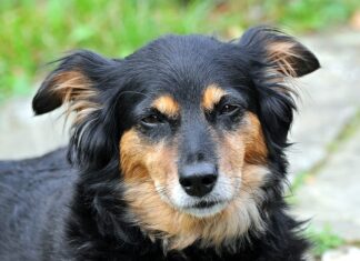 Jaki szum do usypiania?