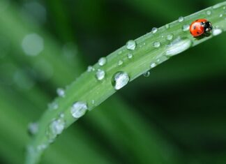 Co ile powinno się zmieniać pościel?
